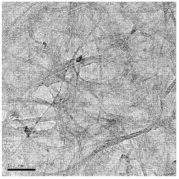 Cadmium telluride quantum dot grafted graphene-carbon nanotube composite thin film optical switch material and preparation thereof