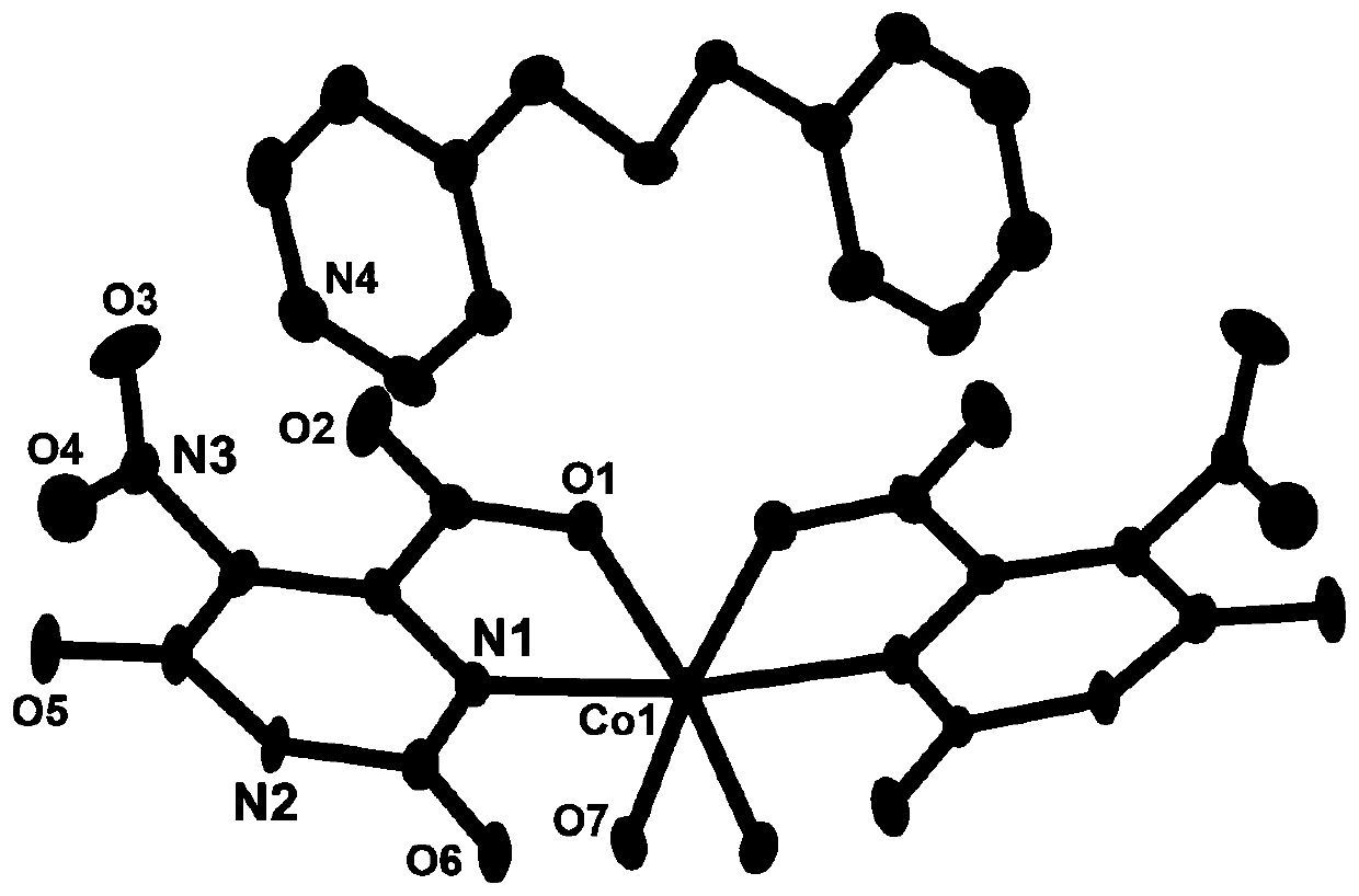 5-nitro orotic acid cobalt complex as well as preparation method and application thereof