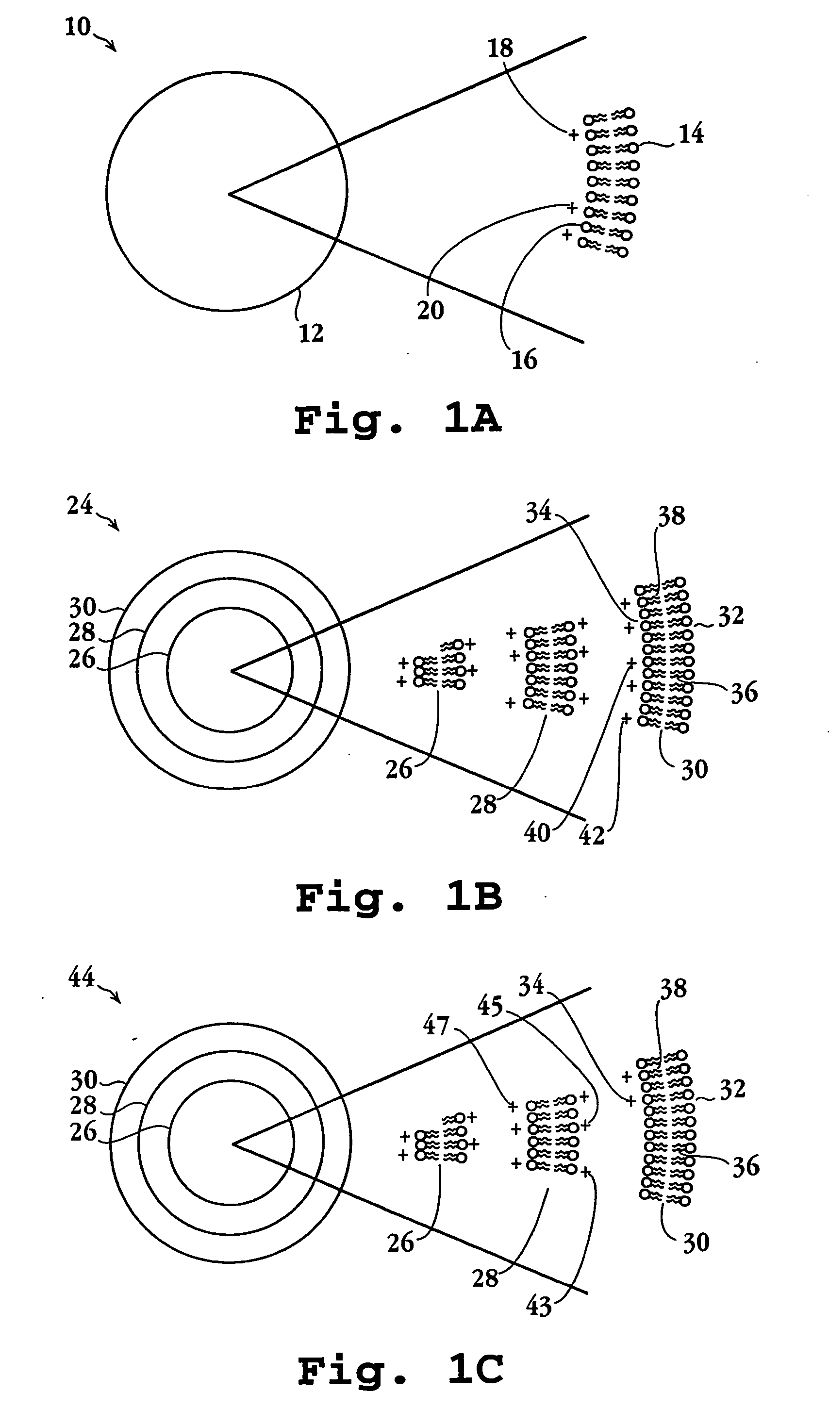 Lipid particles having asymmetric lipid coating and method of preparing same