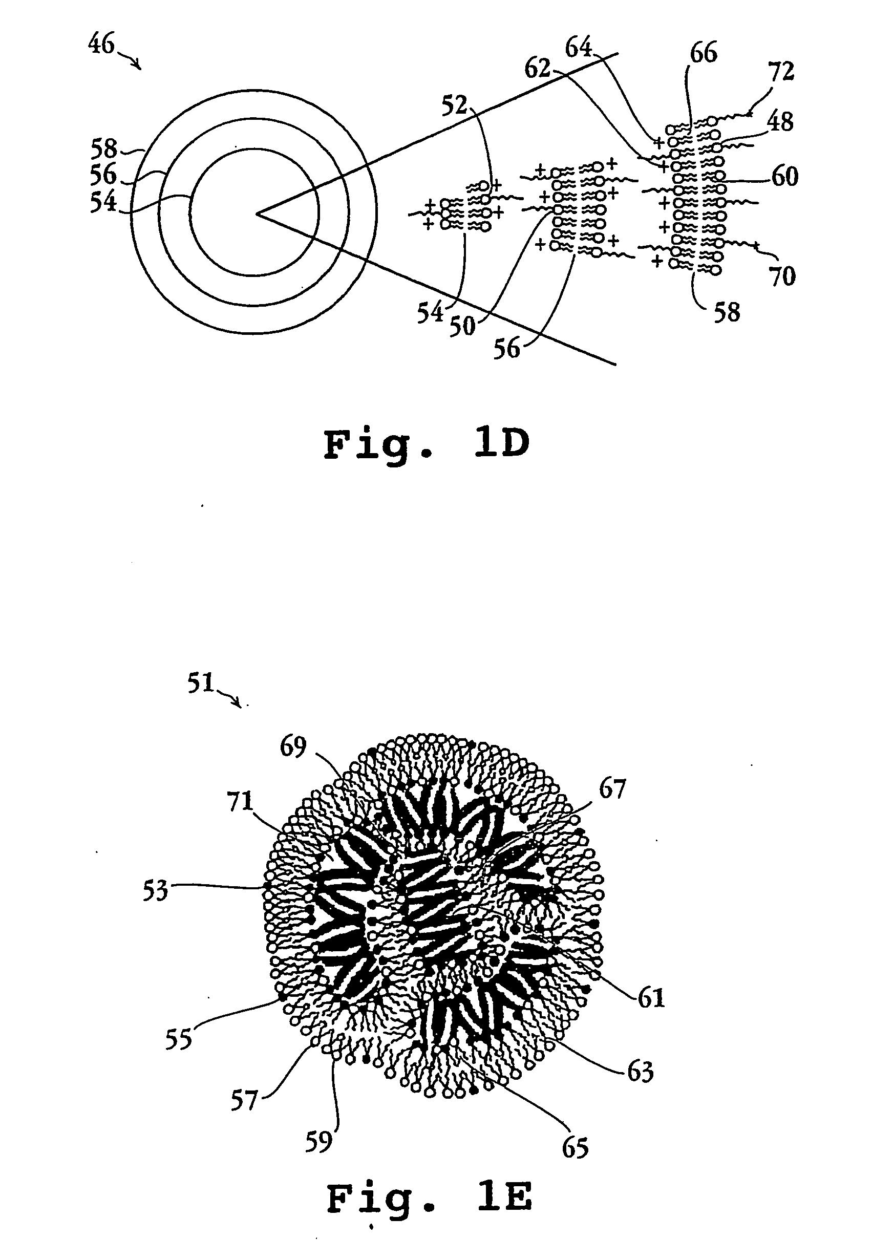 Lipid particles having asymmetric lipid coating and method of preparing same