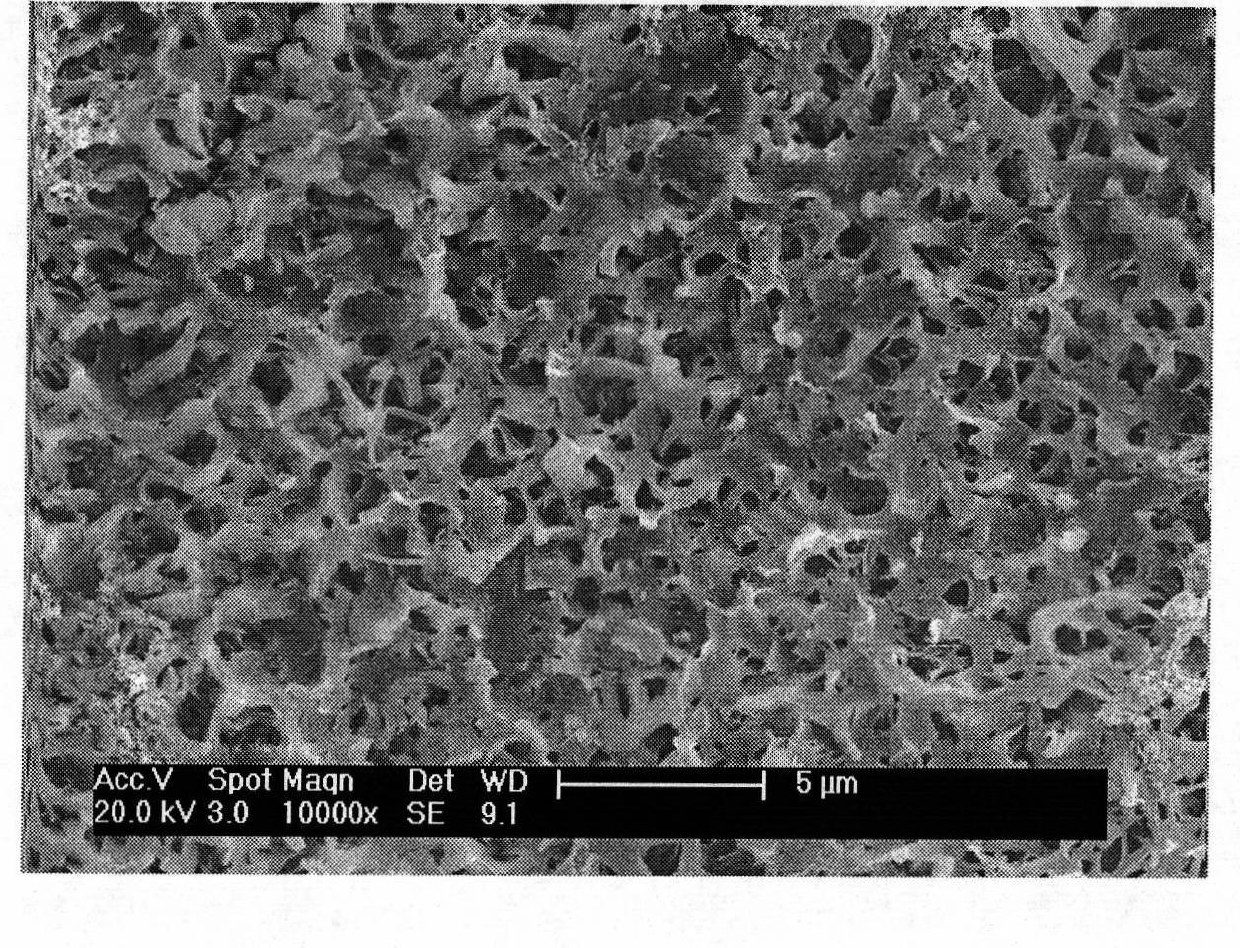 Artificial joint having slow-release function of rare earth element cerium and preparation method thereof