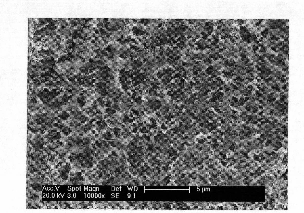 Artificial joint having slow-release function of rare earth element cerium and preparation method thereof