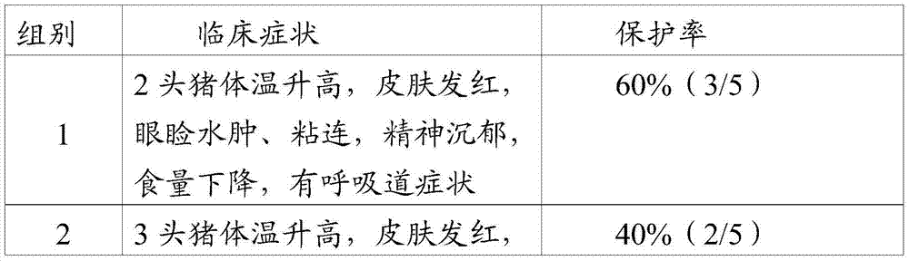 Porcine reproductive and respiratory syndrome virus strain and application thereof