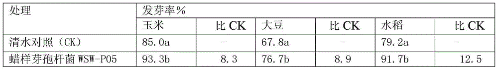 Bacillus cereus and application of bacillus cereus as agricultural biological agent