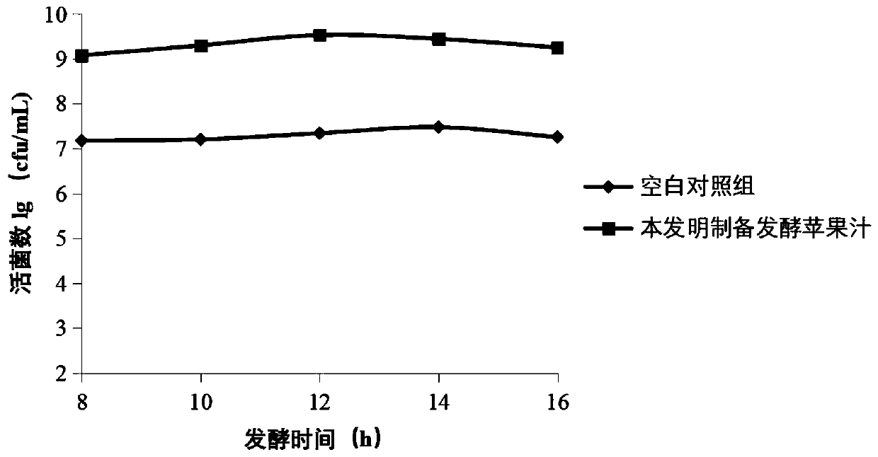 Fermented apple juice rich in active lactobacillus plantarum and preparation method of fermented apple juice