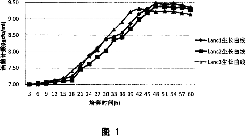 Complex culture medium for lactobacillus ferment and preparation method thereof