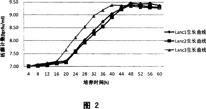 Complex culture medium for lactobacillus ferment and preparation method thereof