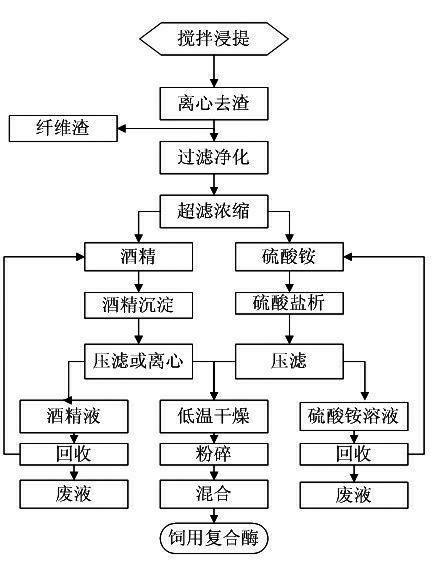 Method for preparing complex enzyme preparation and application of complex enzyme preparation to feed