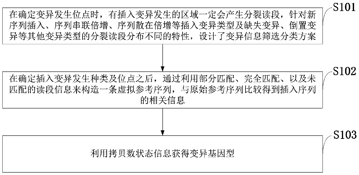 Insertion mutation detection method and system based on new-generation sequencing data