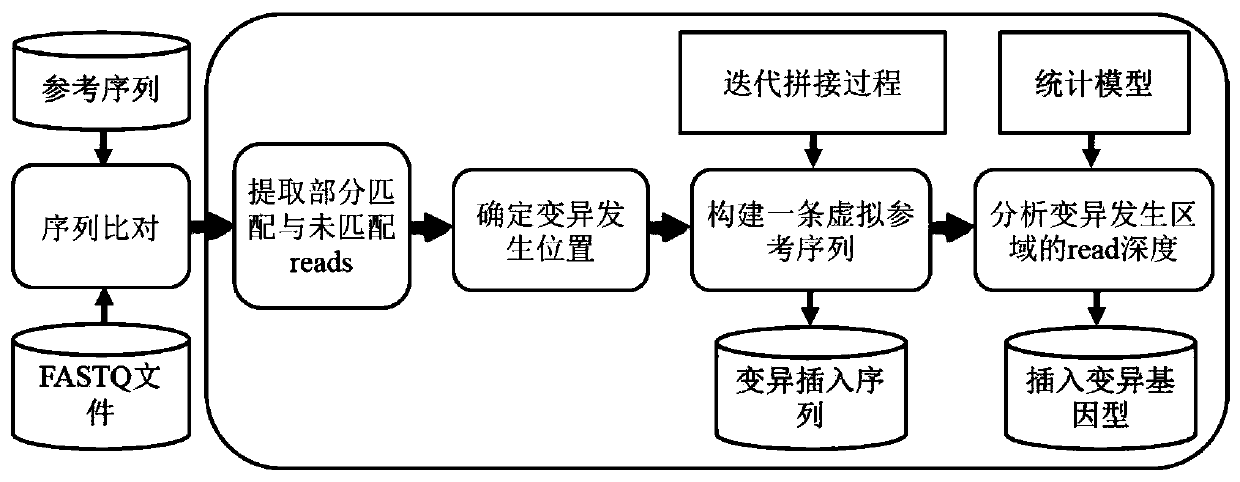 Insertion mutation detection method and system based on new-generation sequencing data