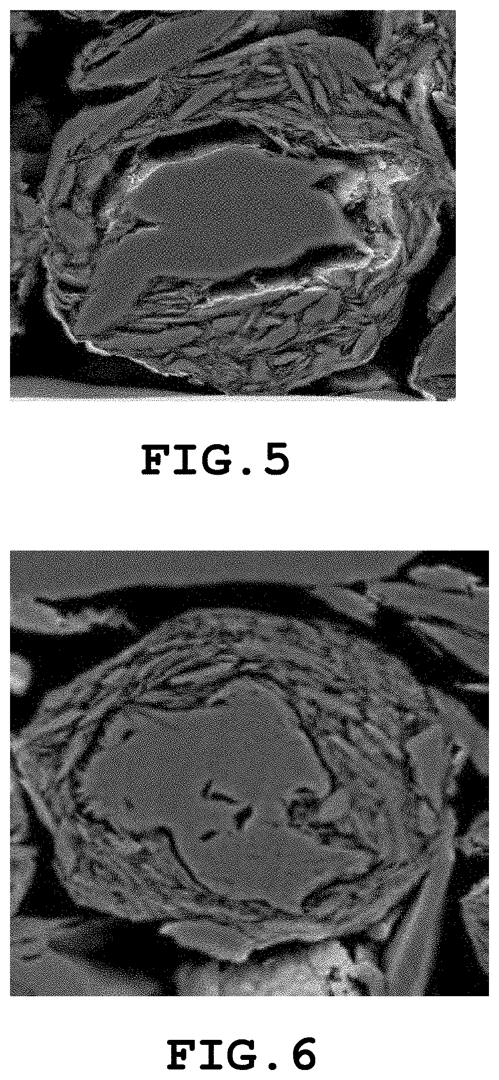 Carbon material and nonaqueous secondary battery using carbon material