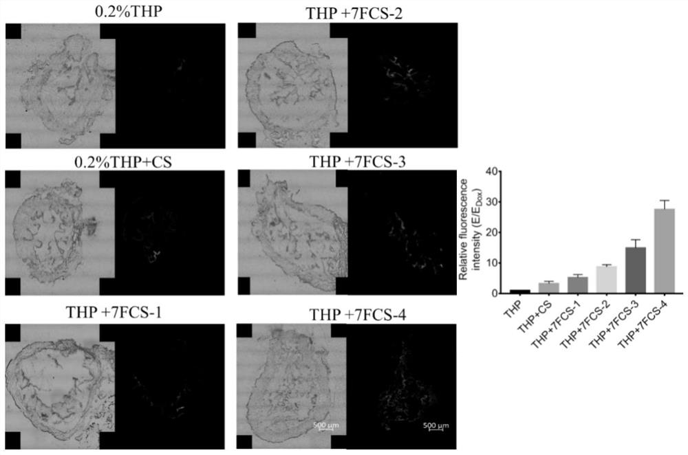 Application of fluorine-containing compound modified chitosan as drug carrier and preparation method of fluorine-containing compound modified chitosan