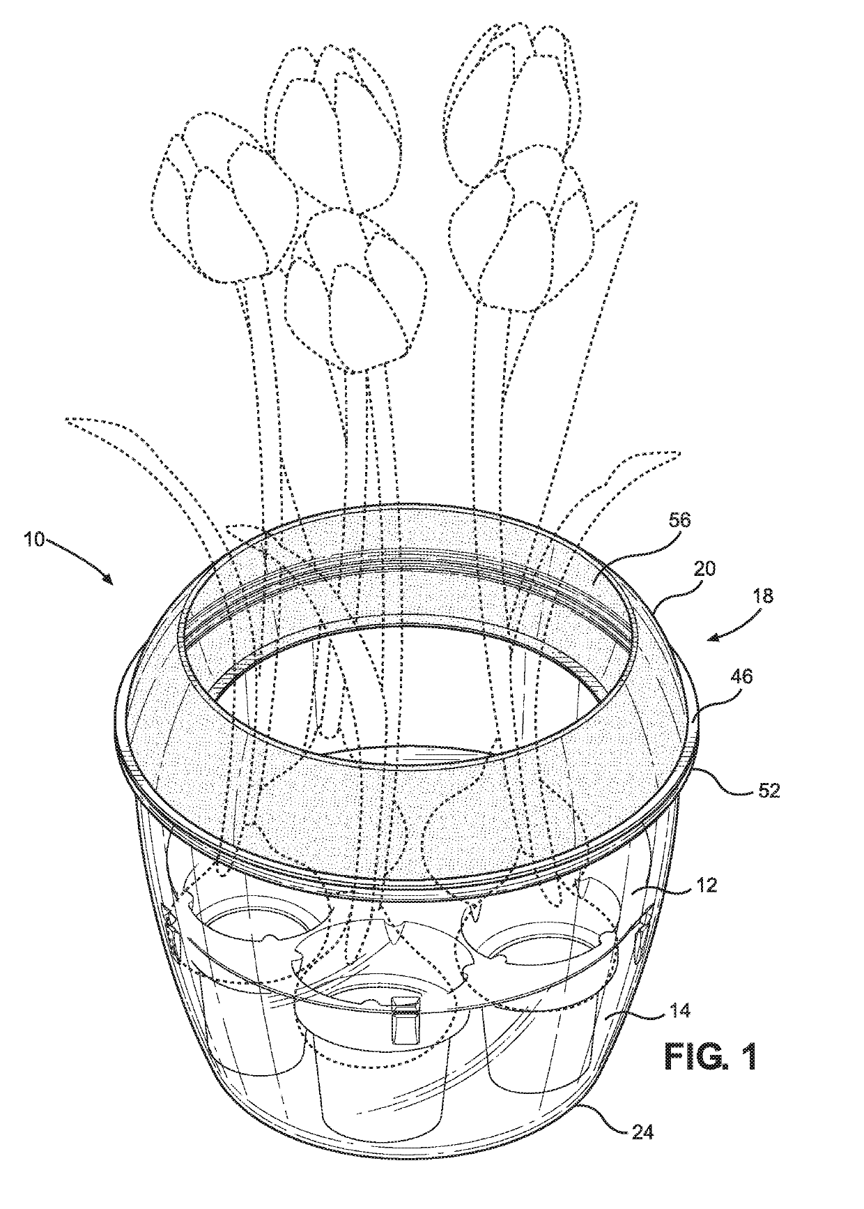 Hydroponic Display Container for Flowering Bulbs