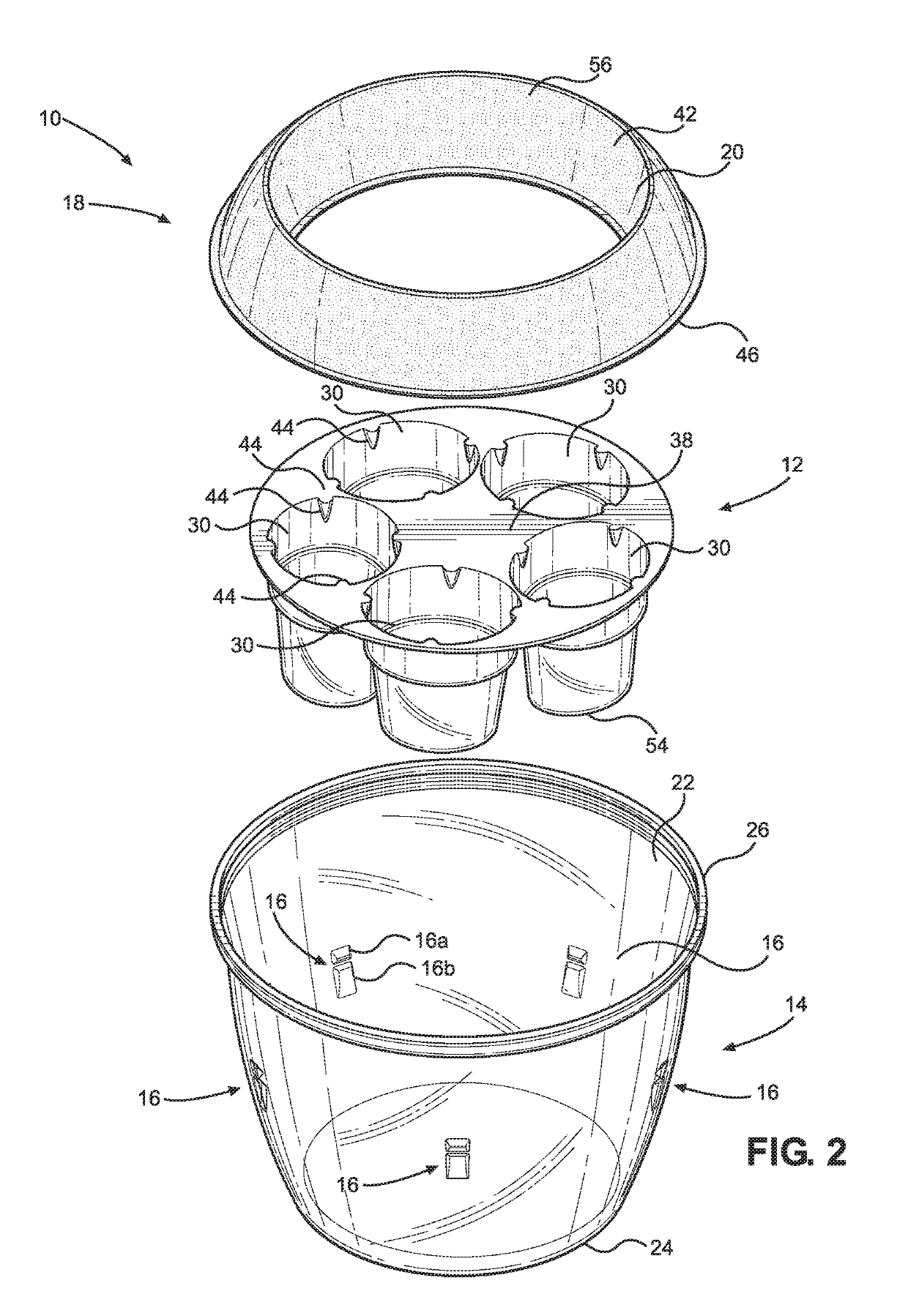 Hydroponic Display Container for Flowering Bulbs