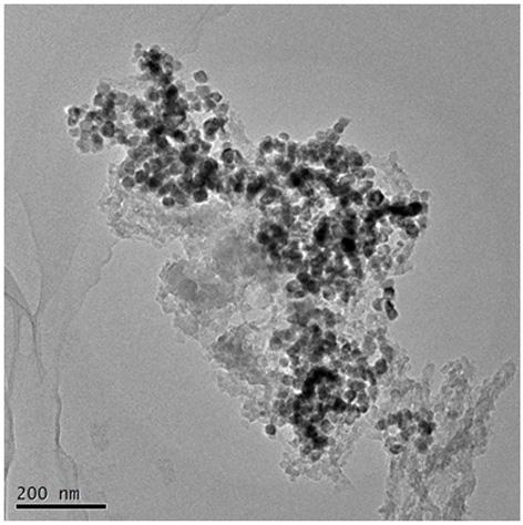 Magnetic porous adsorbent and preparation method thereof