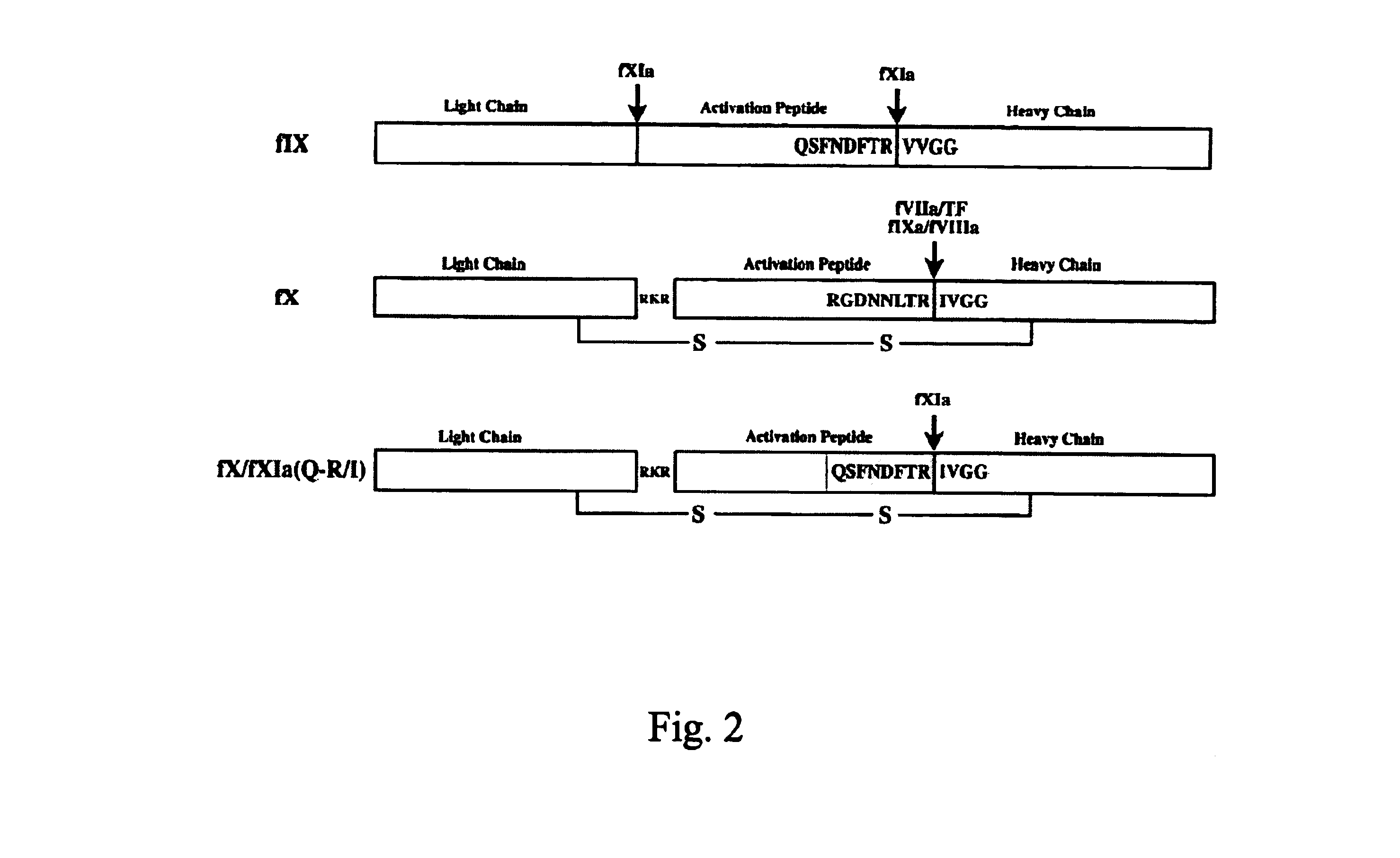 Factor X analog with an improved ability to be activated