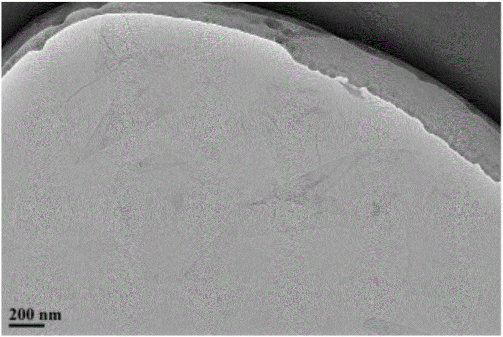 Preparation method of composite carboxymethyl chitosan/graphene oxide/polyacrylamide hydrogel