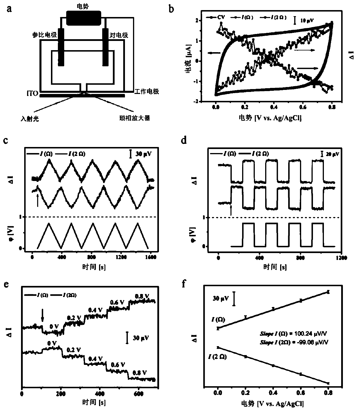 Transparent electrode potential real-time monitoring device and method based on oblique incident light reflection difference method