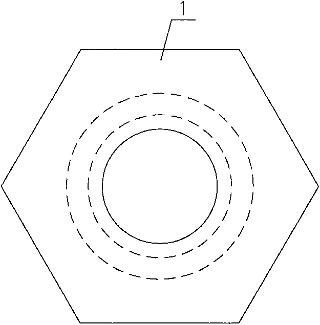 Check bolt with left-handed threads