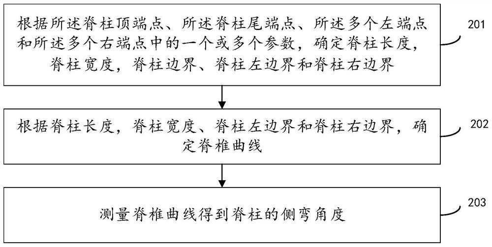 Scoliosis prediction method and device, electronic equipment and storage medium