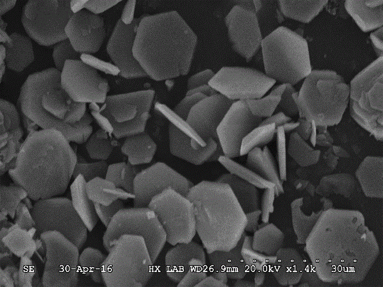 Alkaline mode cobalt vanadate micrometer sheet material and preparation method thereof