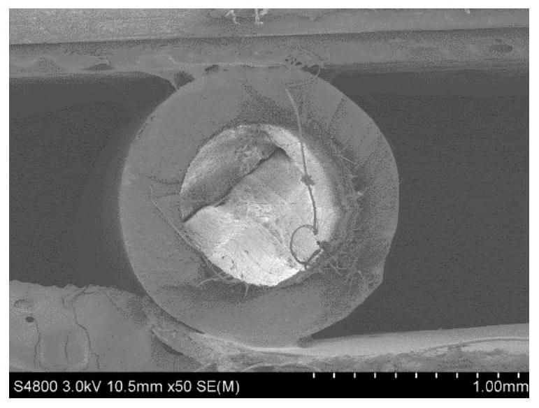 Polyvinylidene fluoride hollow fiber microfiltration membrane and preparation method thereof