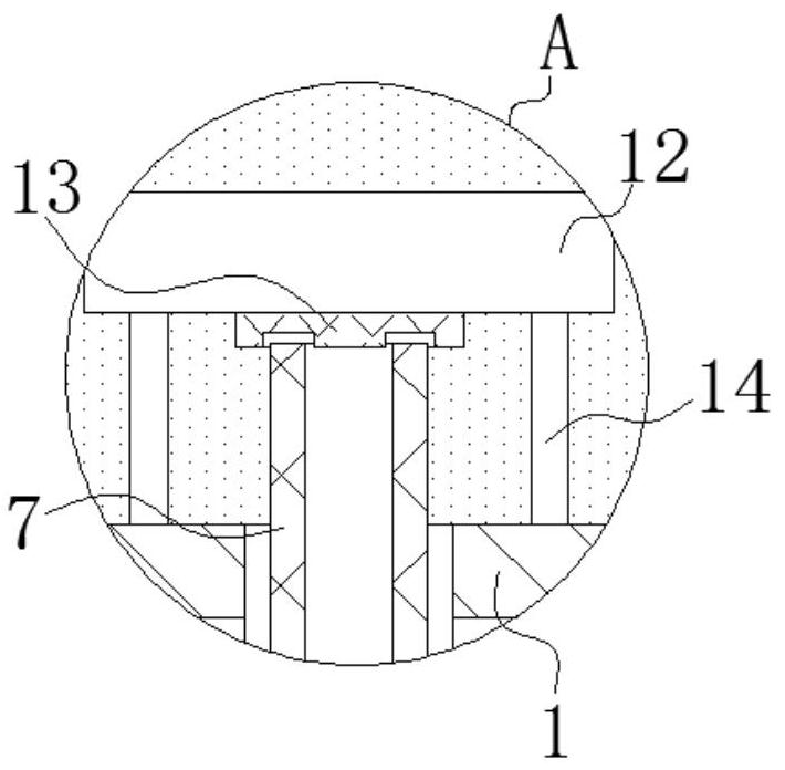 Cage for catching and killing harmful imagoes