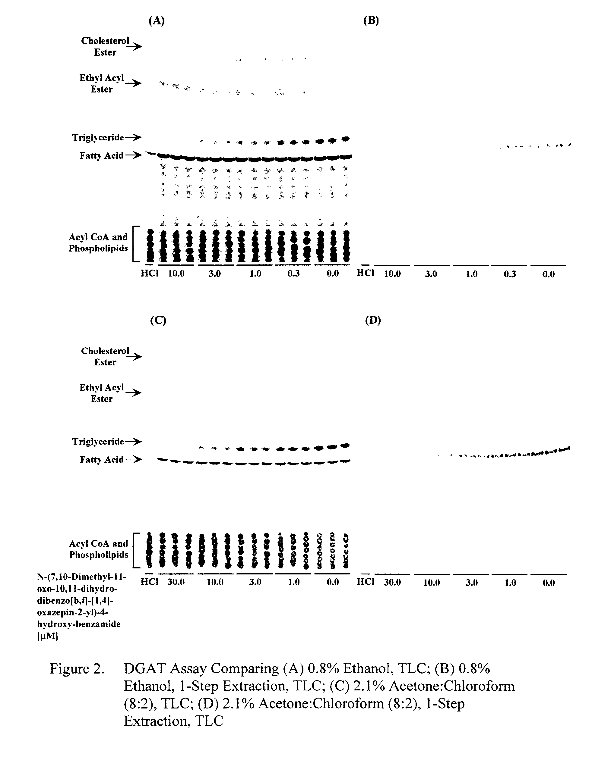 Diacylglycerol acyltransferase (DGAT) assay