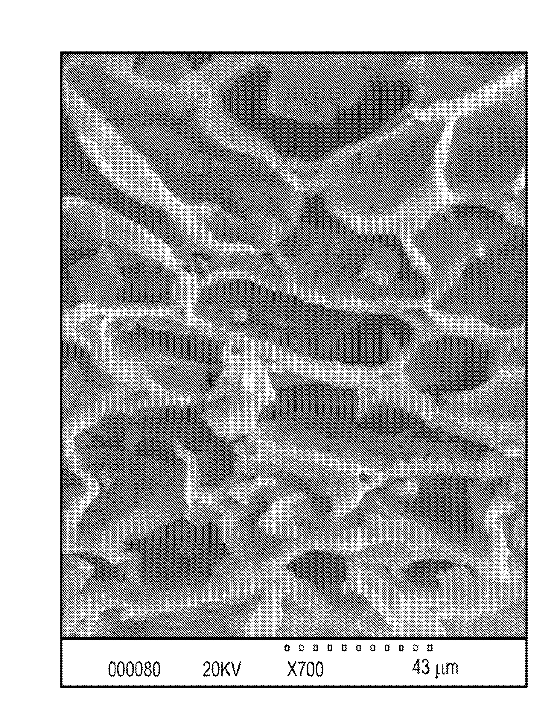 Method for enhancing soil growth using bio-char