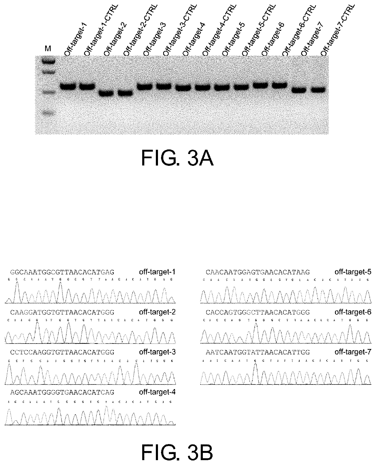 Kit for reparing fbn1t7498c mutation, combination for making and repairing mutation, and method of repairing thereof