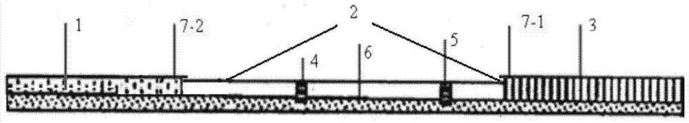 A kit and method for detecting Tilletia dwarf