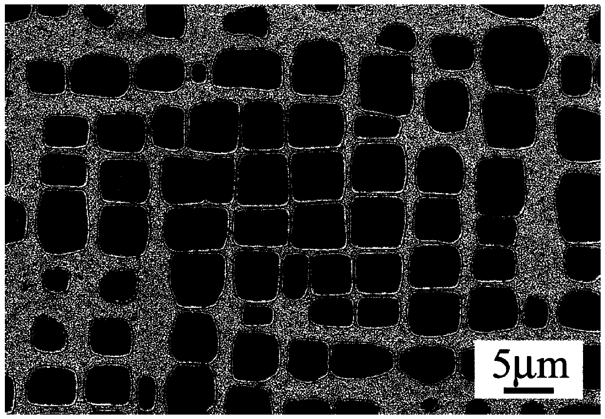 A γ' phase strengthened cobalt-based superalloy and its preparation method