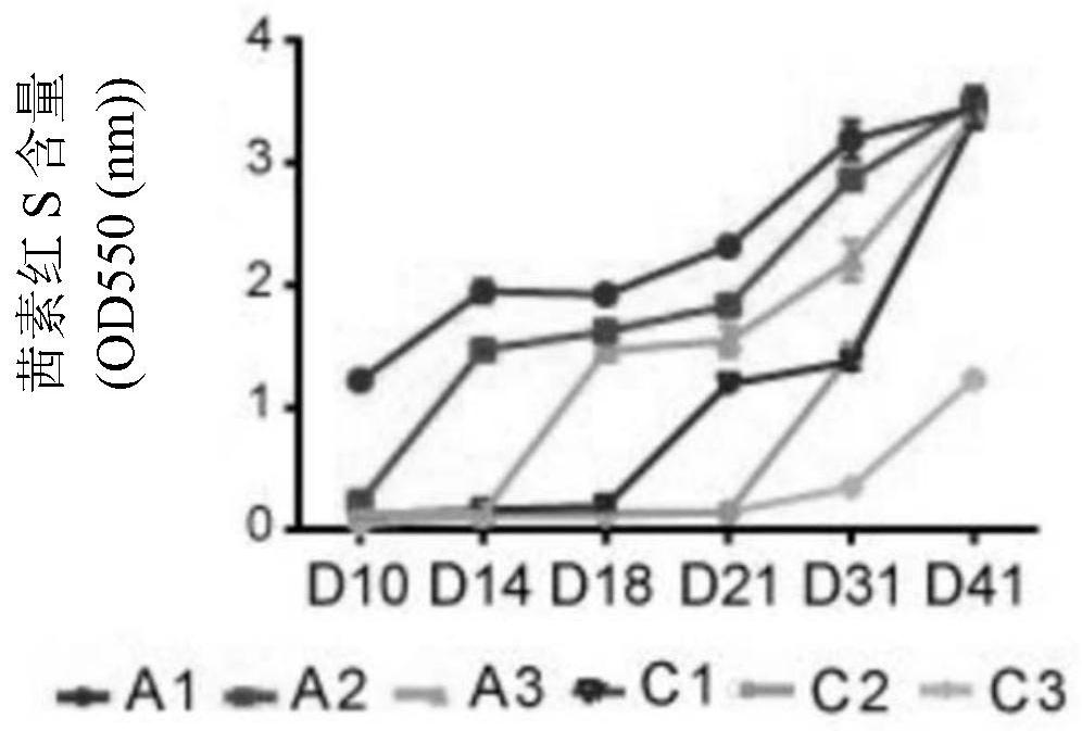 A biomarker and target for diagnosis, prognosis and treatment of ankylosing spondylitis