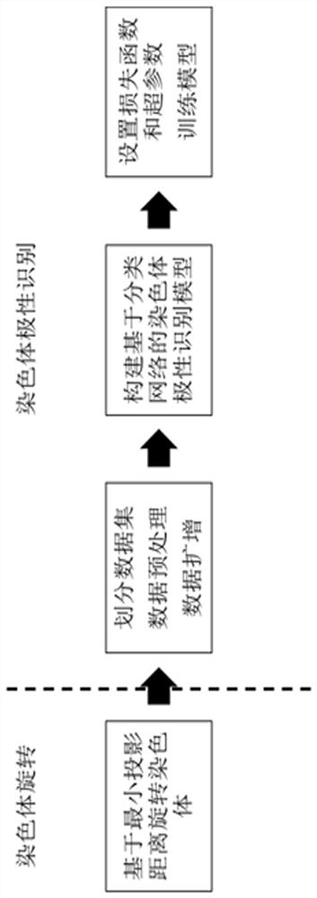 Chromosome polarity recognition method and system based on deep learning