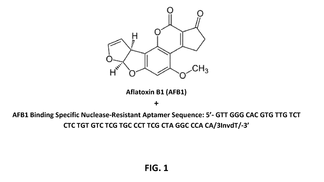 Aptamers for mycotoxin detoxification