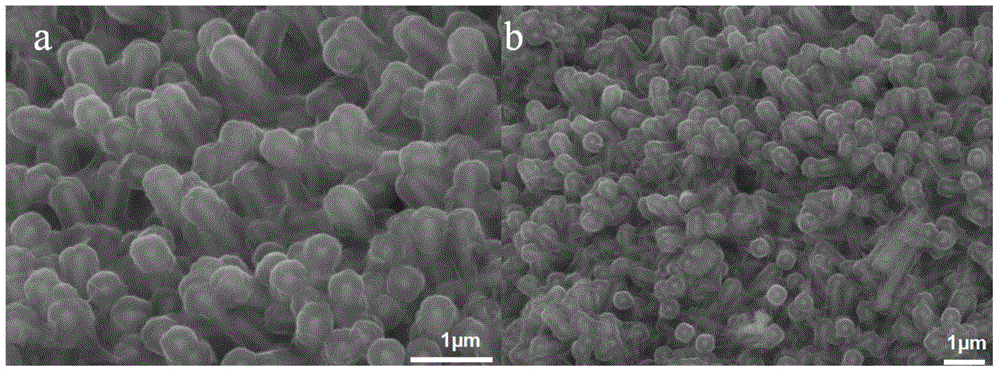 SnO2@PPy coaxial nanorod array structure material, preparation method and application of material