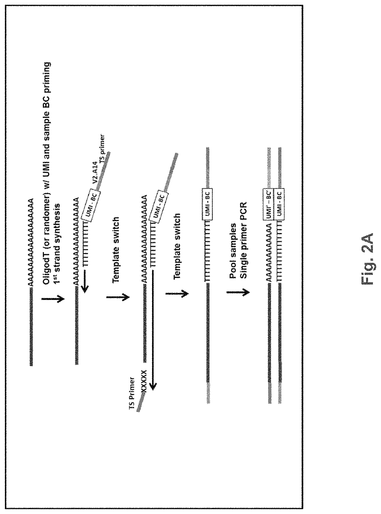 Nucleic acid sequence analysis from single cells