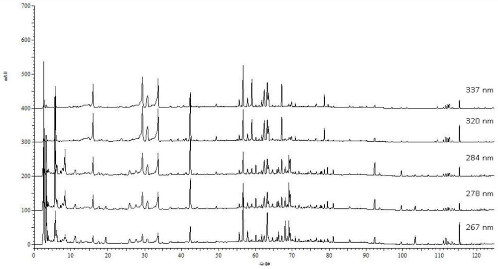 Construction method and detection method of hplc fingerprint of Qianbo Biyan tablet