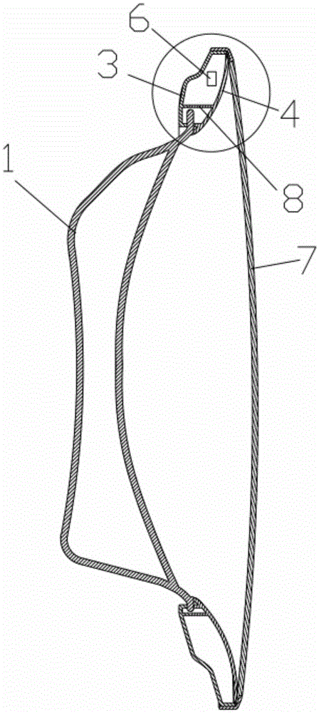 Door body with high temperature limiting structure and washing machine