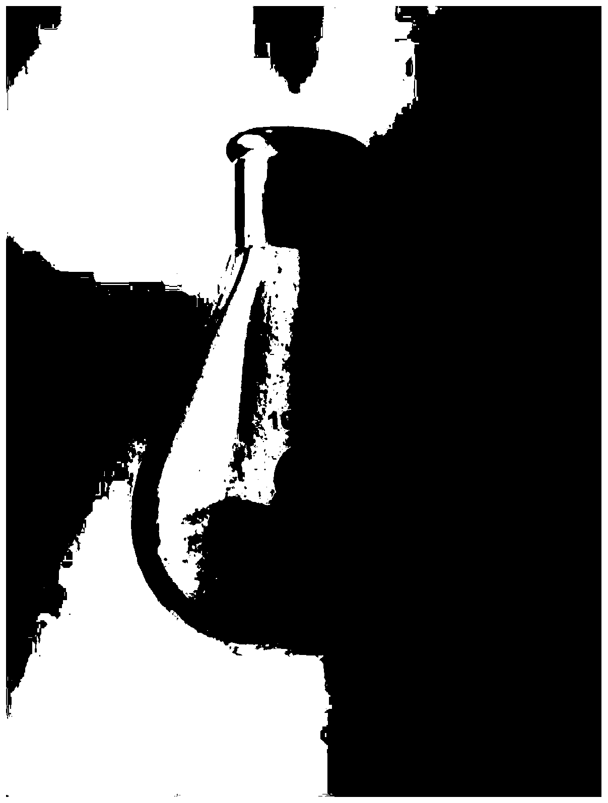 Synthetic method and applications of polysubstituted pyridine derivative