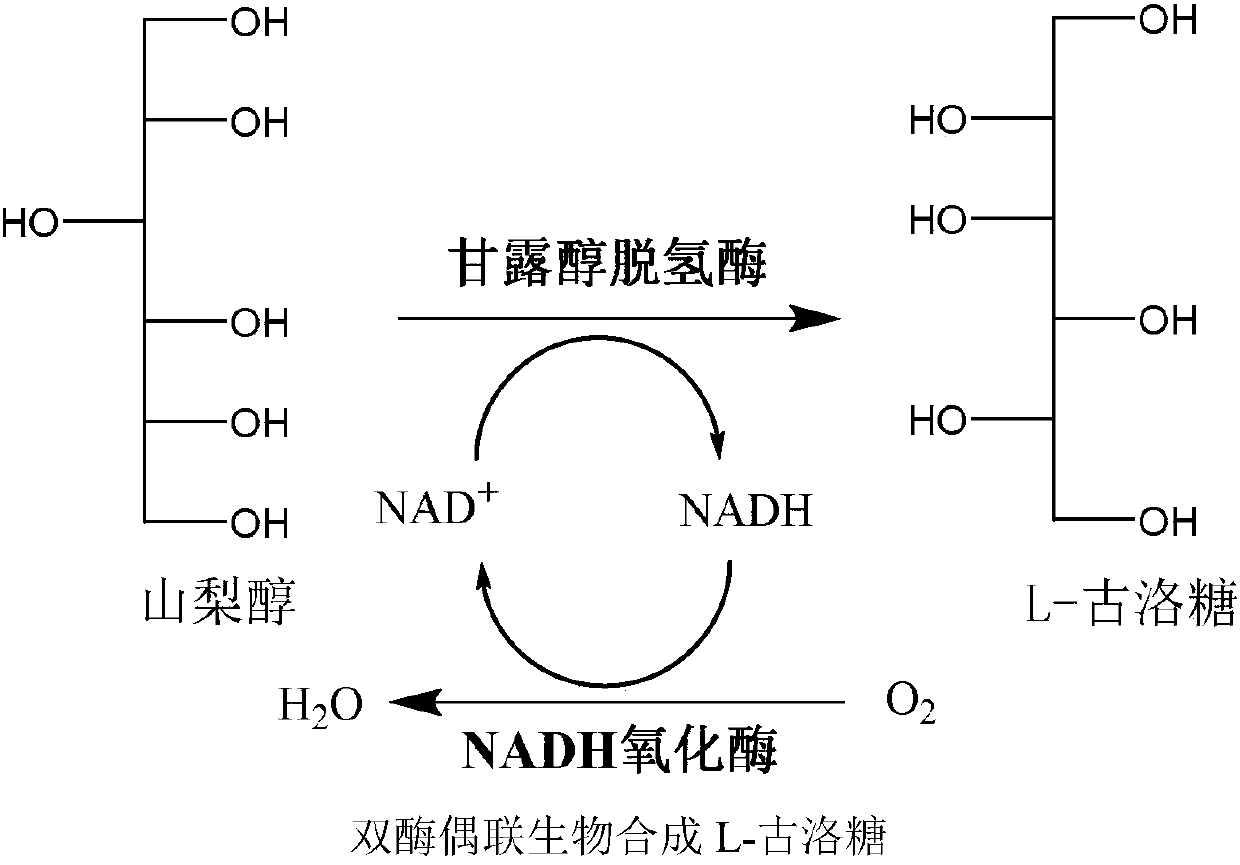 Preparation method for L-gulose