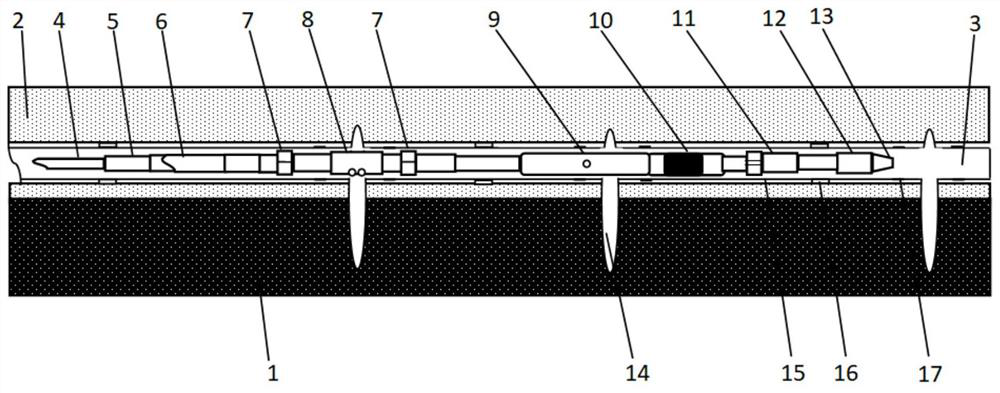 Coiled tubing perforation segmental fracturing method in long borehole casing for gas drainage in coal mine