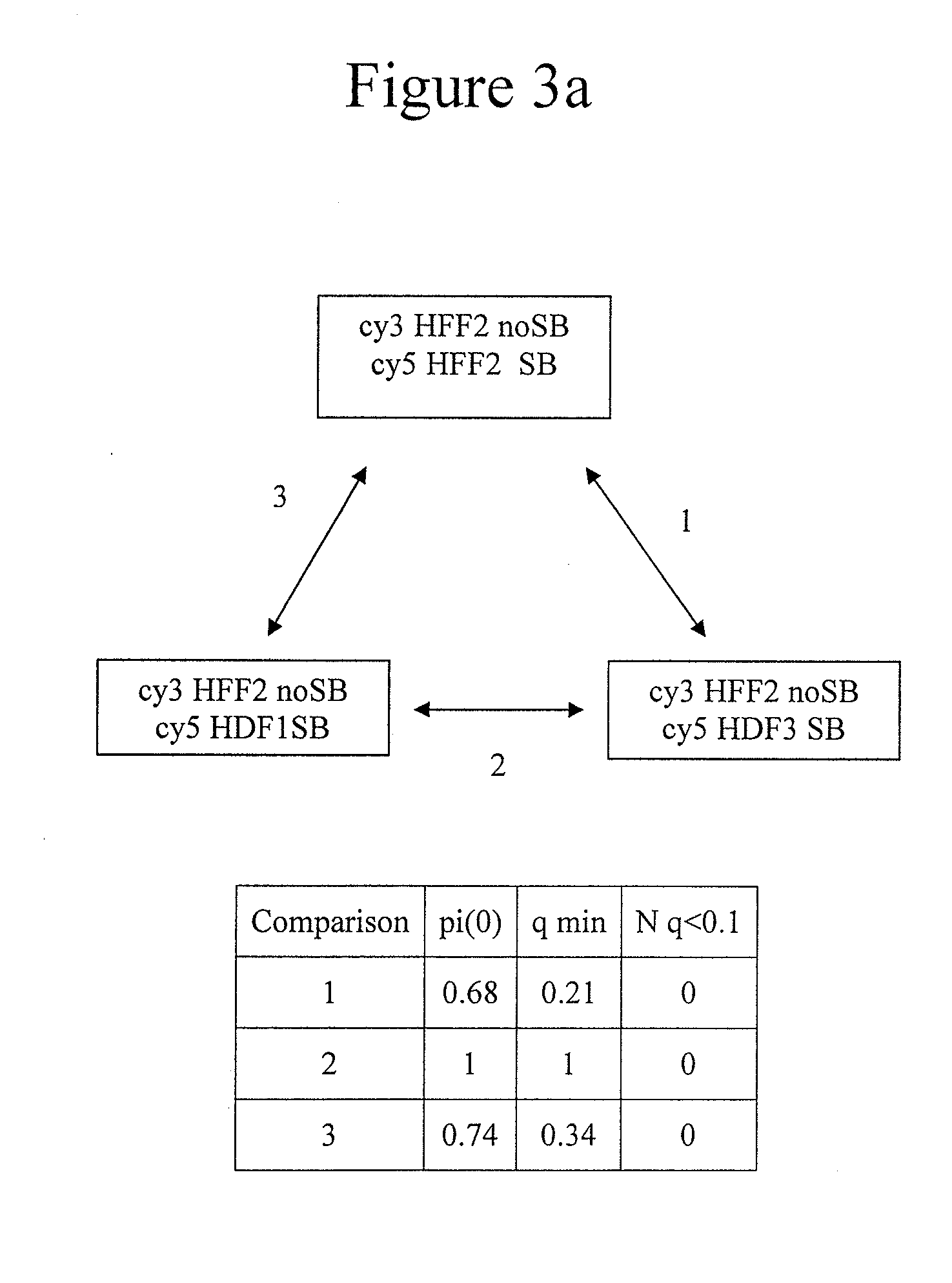 Genome-wide analysis of palindrome formation and DNA methylation