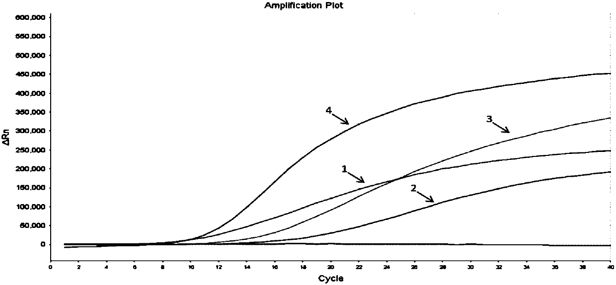 Recombinase-aid amplification (RAA) thermostatic fluorescence detection method of infectious hypodermal and hematopoietic necrosis virus (IHHNV), and reagent