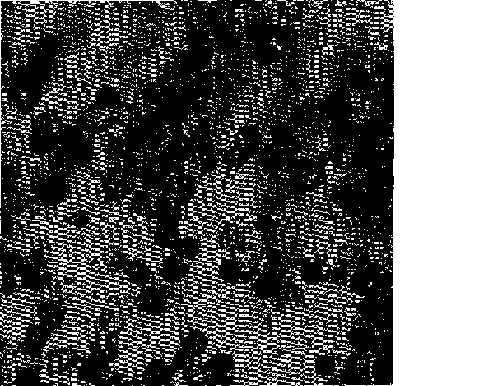 DLK1 gene nucleic acid hybridization in situ detection kit, detection method and uses thereof