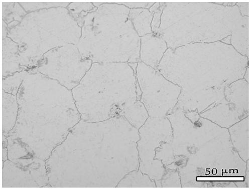 Normal-pressure multi-step sintering method for powder metallurgy of high-density Ti-Nb-Mo series alloy