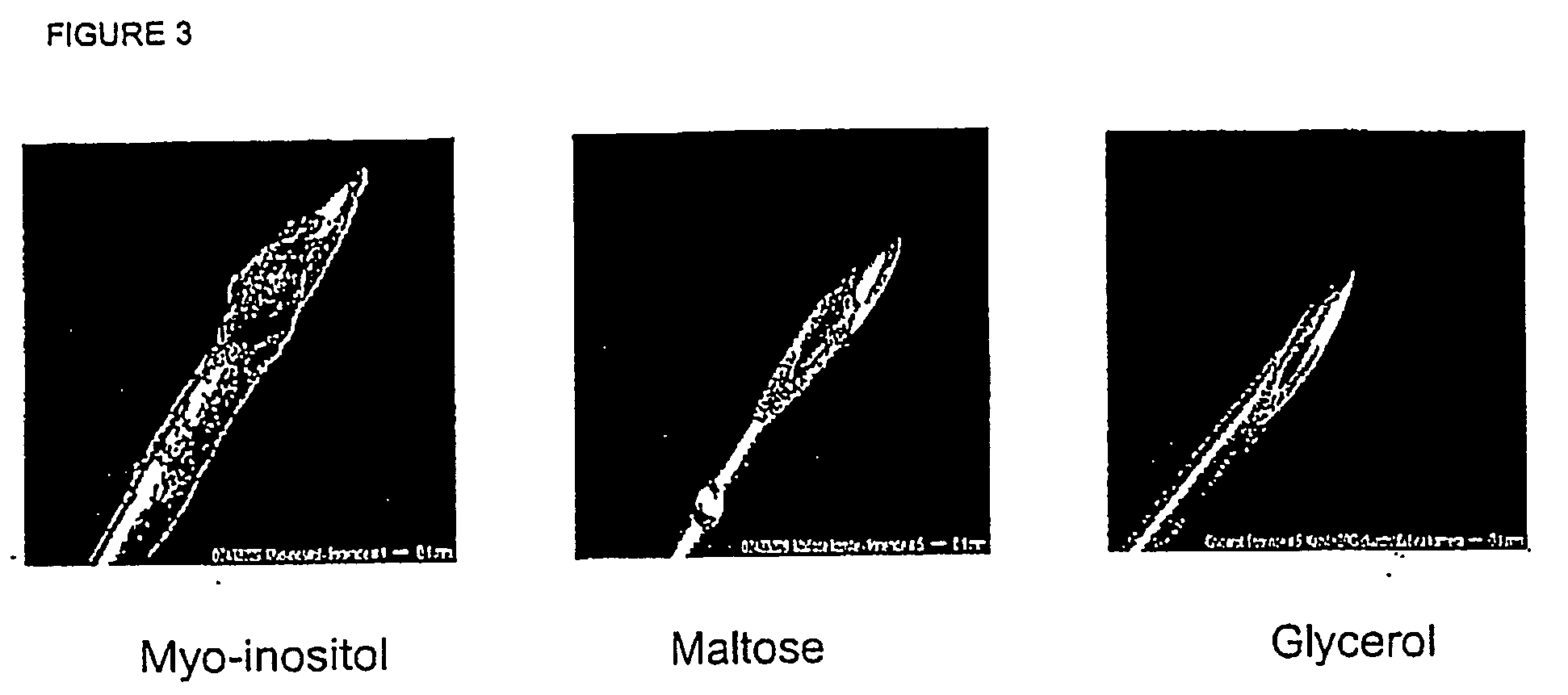 Propylene glycol-containing peptide formulations which are optimal for production and for use in injection devices