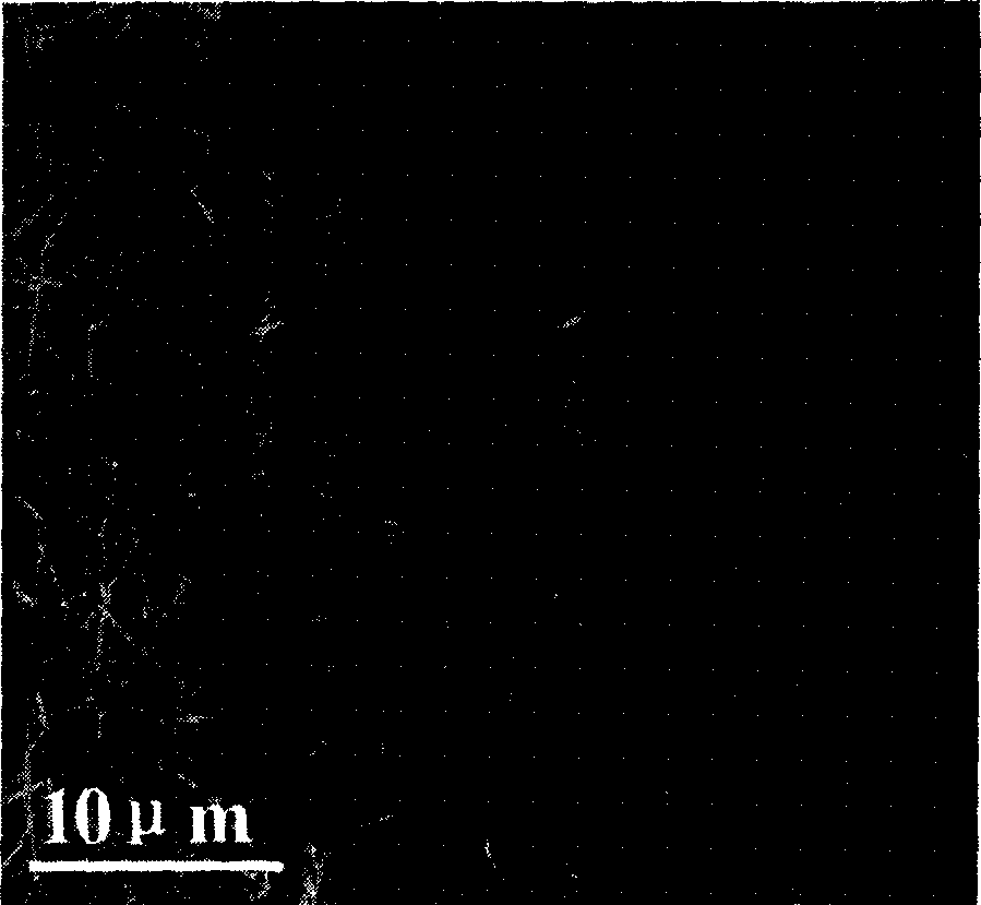 Method of preparing room temperature ferromagnetism Zn(1-X)Mn(X)O diluted magnetic semiconductor nano-line