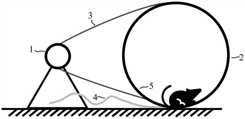 Device and method for evaluating animal gaits