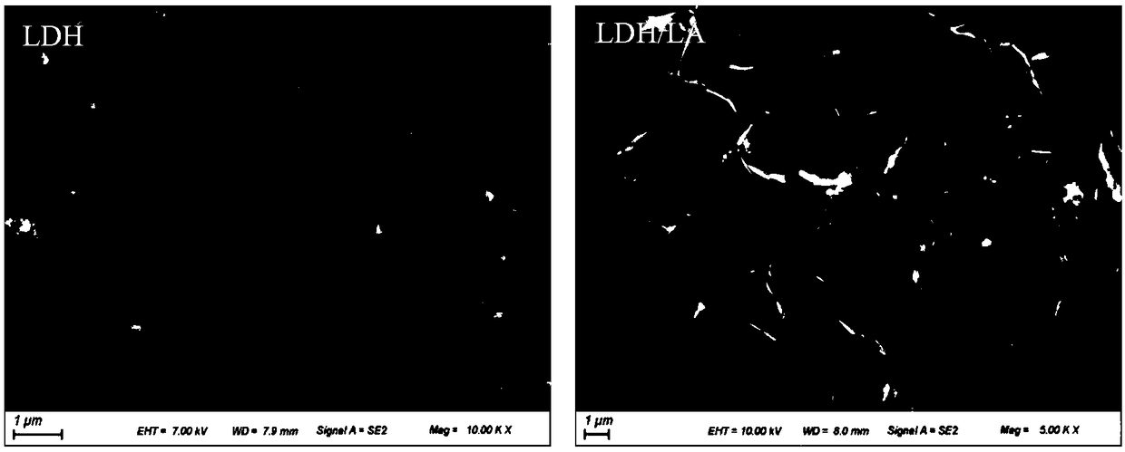 Method of conducting in-situ growth of hydrotalcite-like membrane on surface of magnesium alloy on basis of electric field regulation and control and hydrotalcite-like membrane